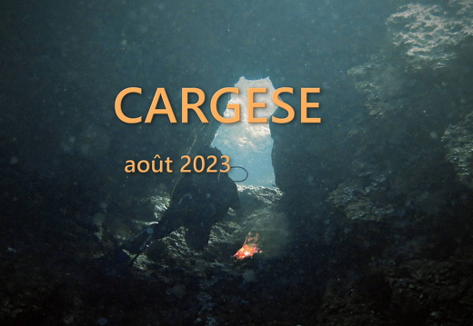 Cargèse 2023