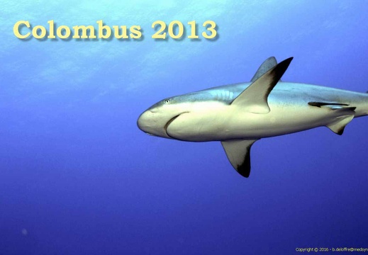 Colombus 2013