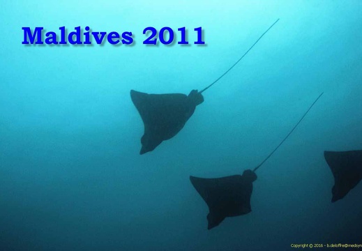 Maldives 2011