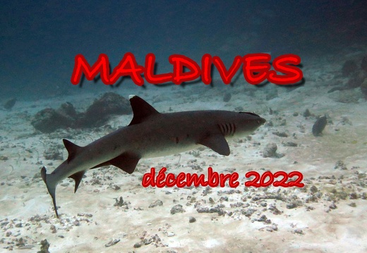 Maldives 2022