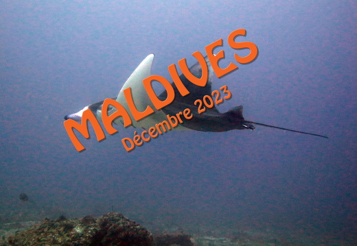 Maldives 2023