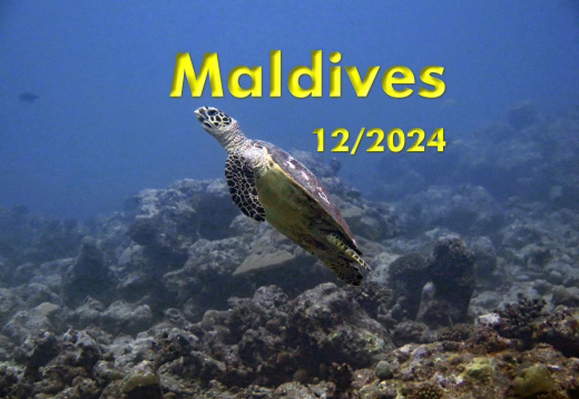 Maldives 2024