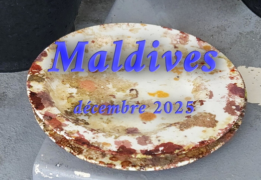 Maldives 2025
