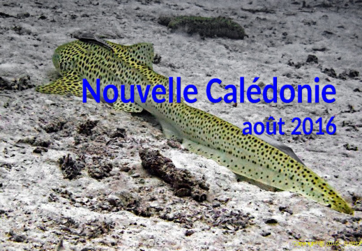 Nouvelle Calédonie 2016
