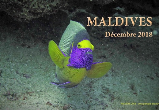 Maldives 2018